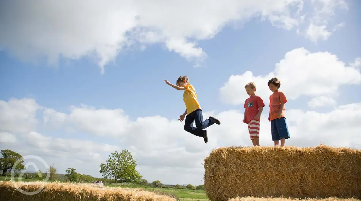 Kids playing in the farm's fields