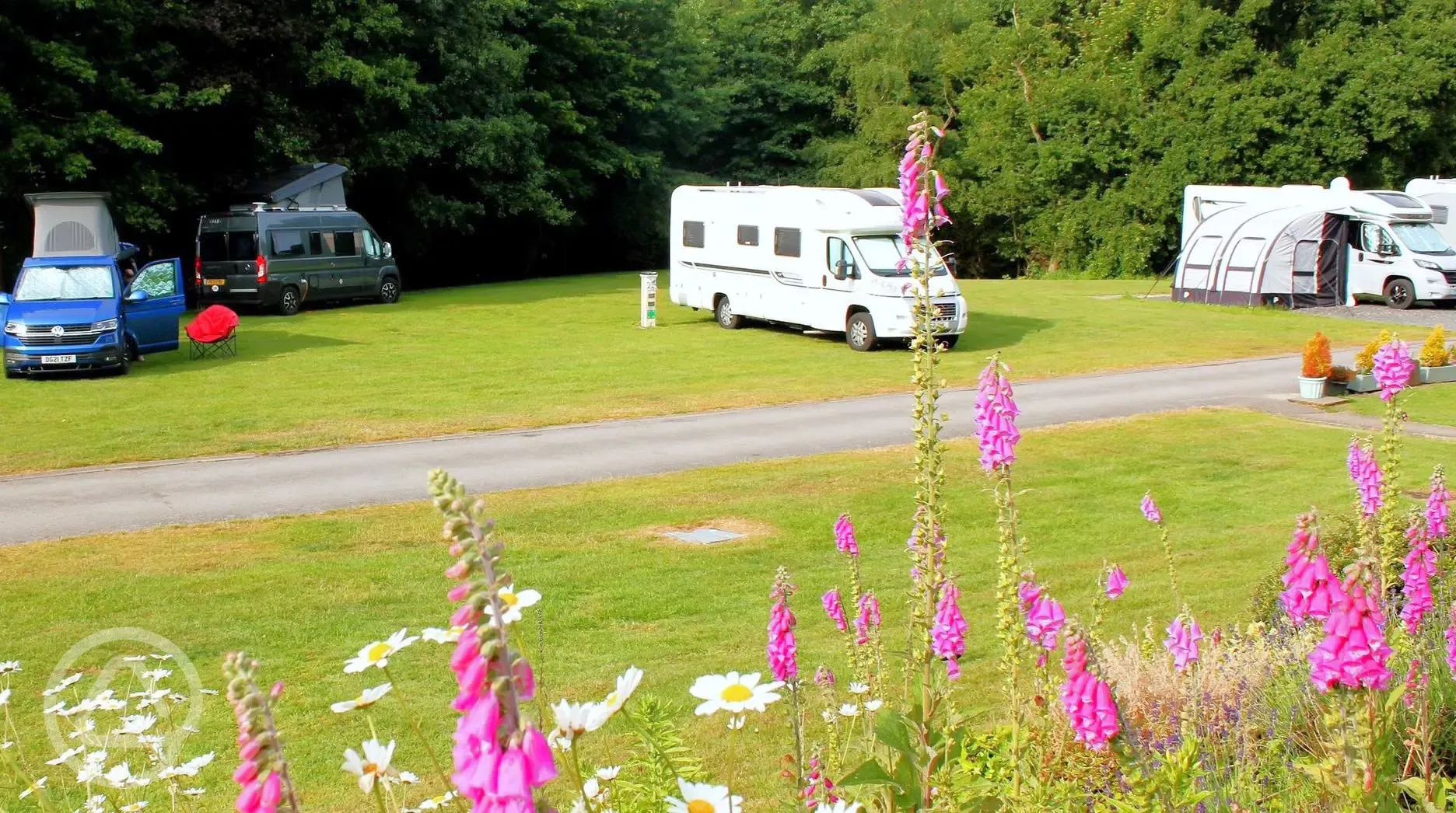 Grass pitches (optional electric)