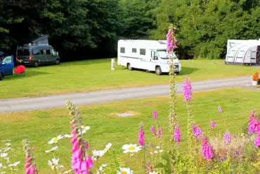 Grass pitches for tents and touring (optional electric) at St Helena's Park