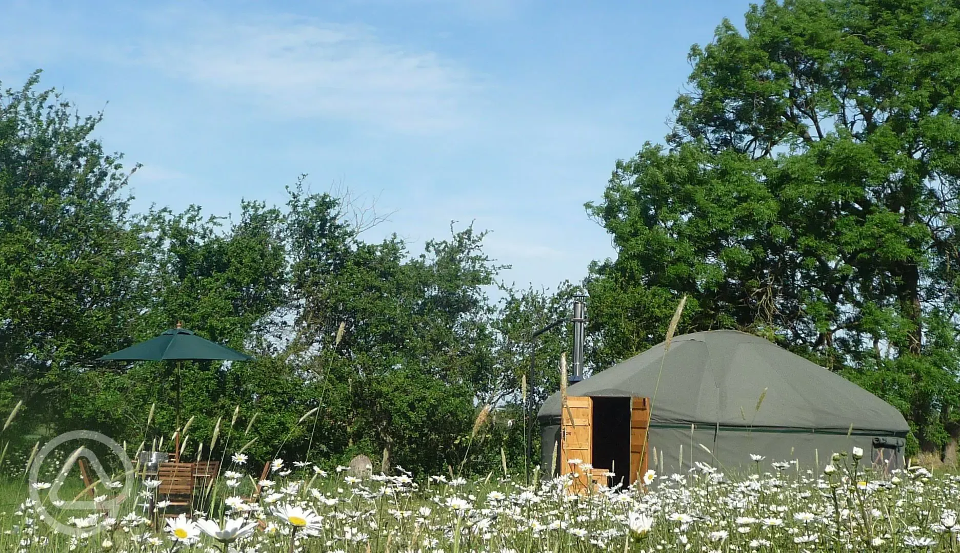 Yurts in the meadow