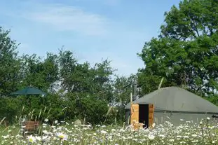 Suffolk Yurt Holidays, Bredfield, Woodbridge, Suffolk Suffolk Yurt Holidays, Bredfield, Woodbridge, Suffolk