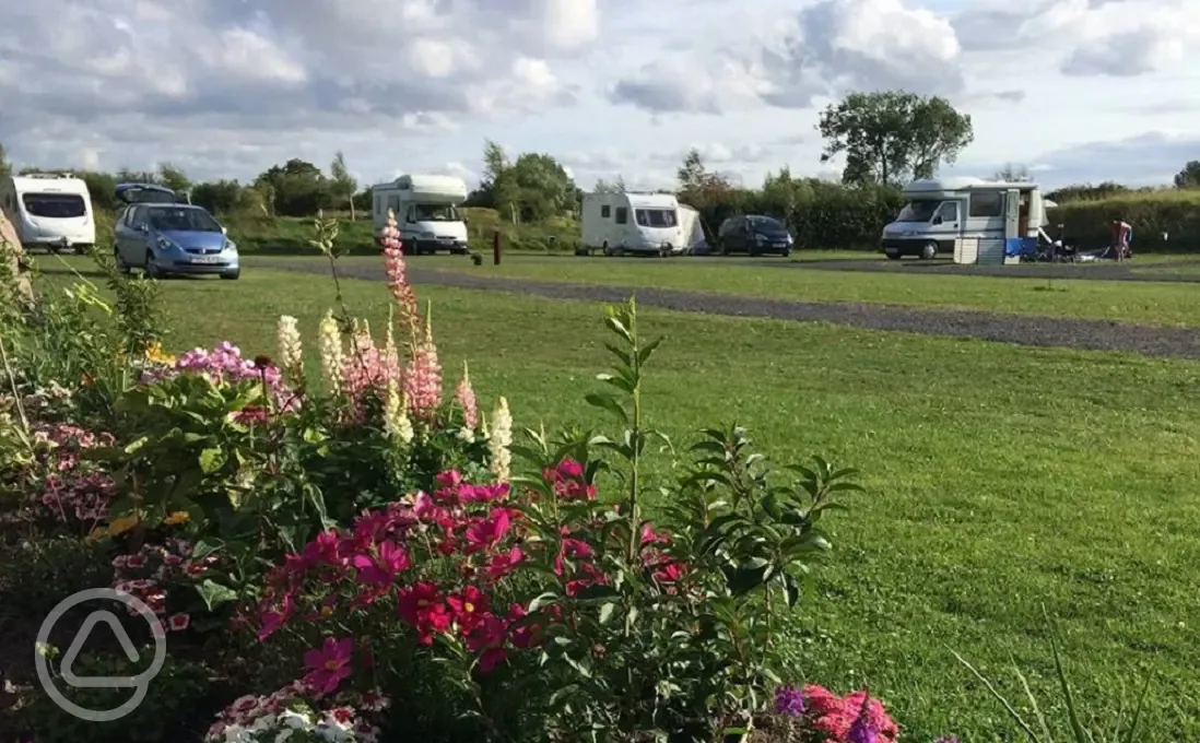 Withy Water Caravan and Camping Park pitches