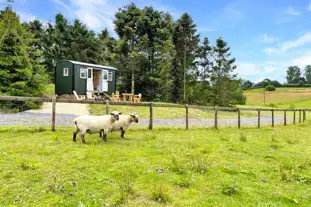 Brewery Farm Campsite, Ansty, Dorset