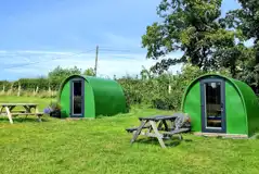 Green camping pods with picnic benches