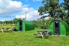 Green camping pods with picnic benches