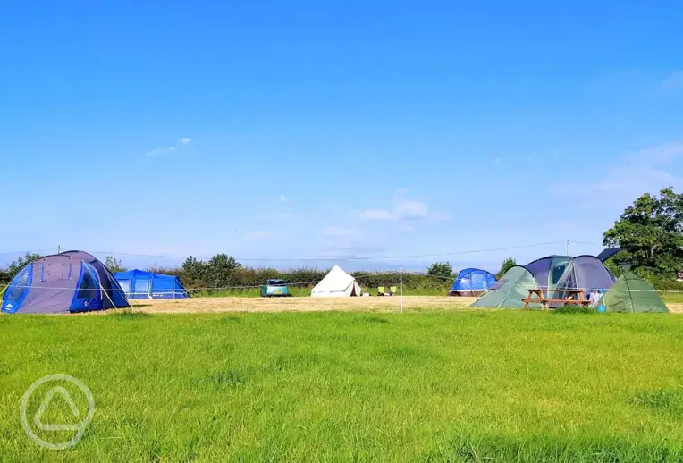 Large non electric grass pitches (10m x 10m)