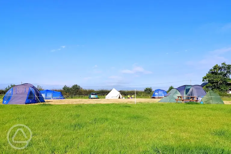 Large non electric grass pitches (10m x 10m) at Drymen Camping