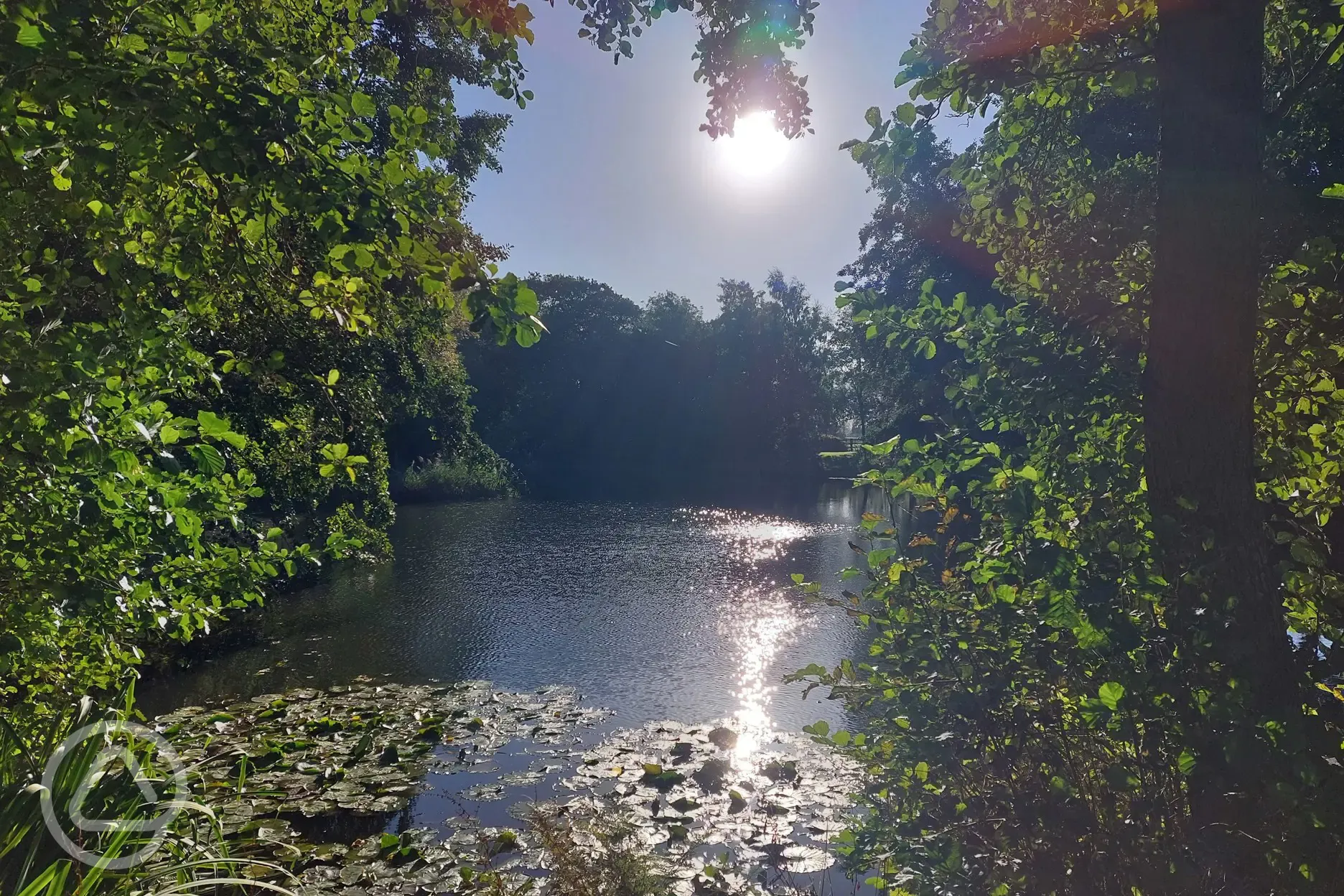 Lake evening