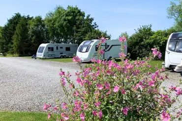 Electric hardstanding pitches at Long Acres Touring Park