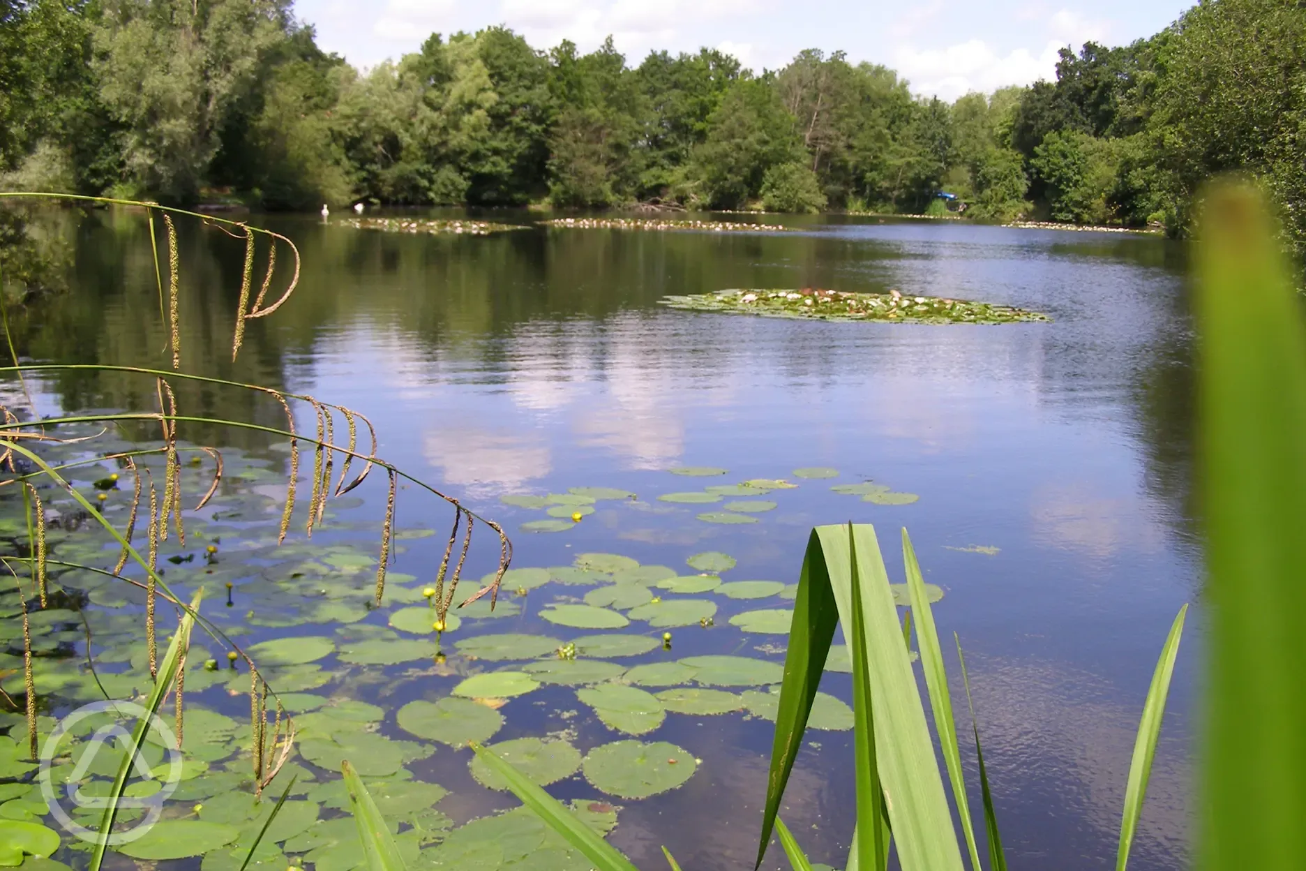 Onsite lake