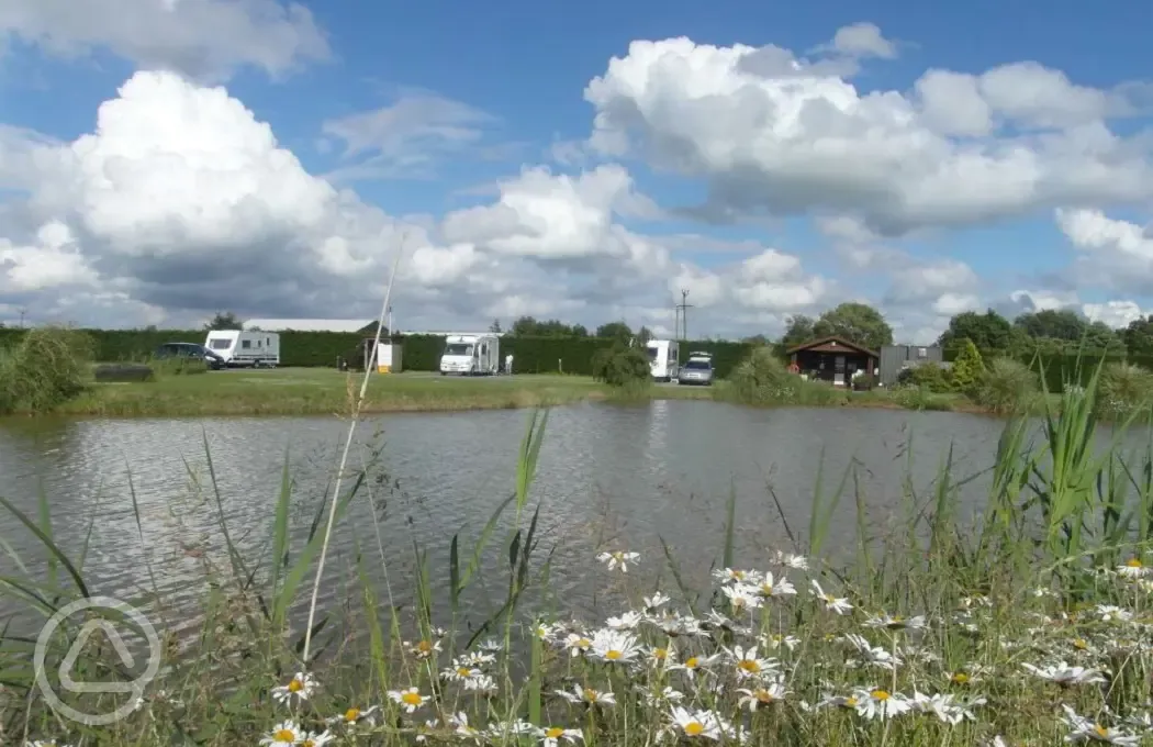 Daisy views at Walnut Lakes