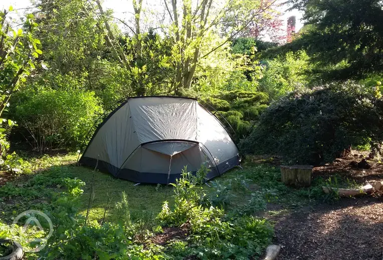 tent pitches are set amongst trees and shrubs