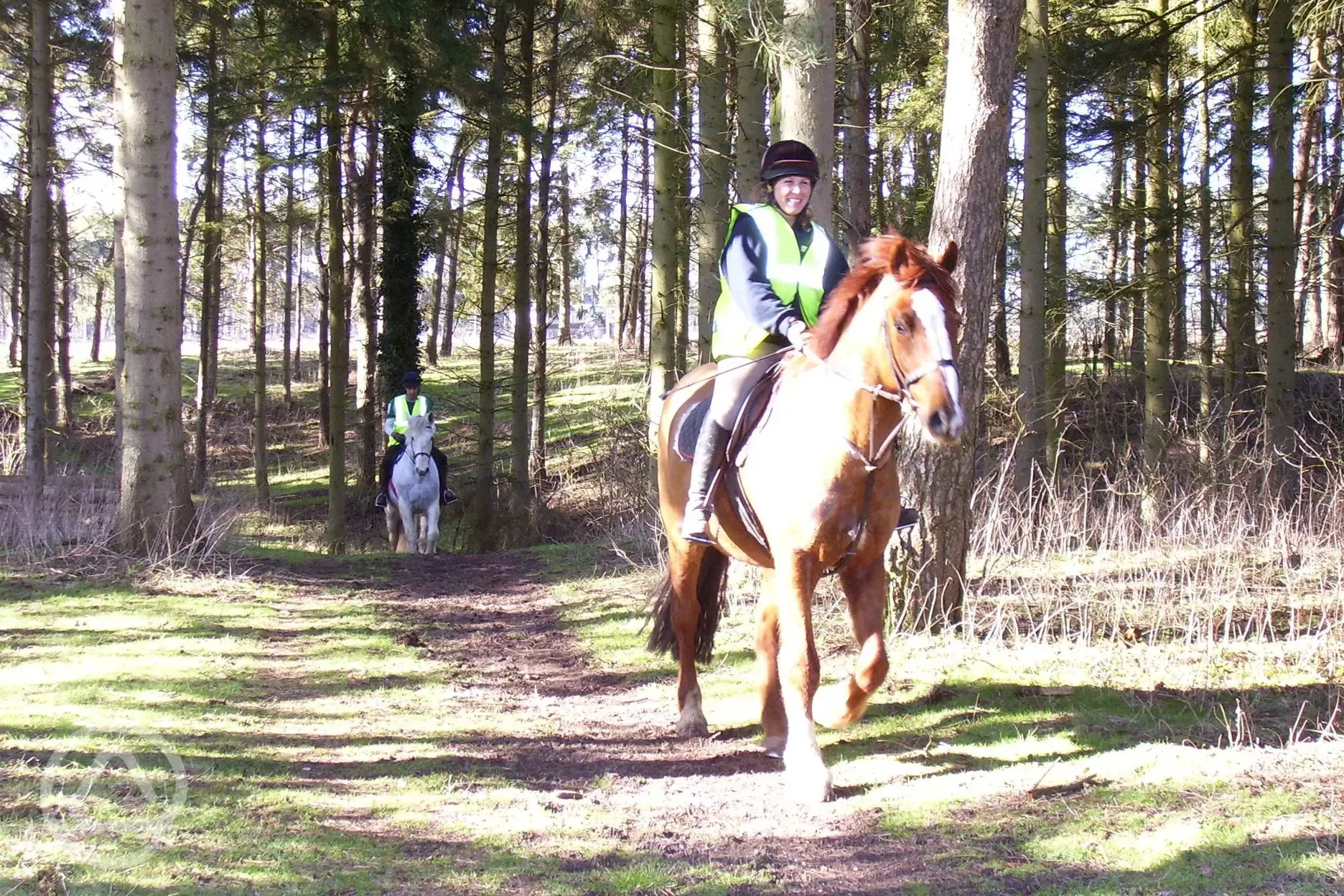 Horse hacks in the forest Bardwell Manor Equestrian Centre