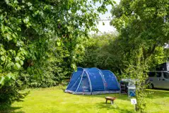 Non electric grass solo pitches in the garden area