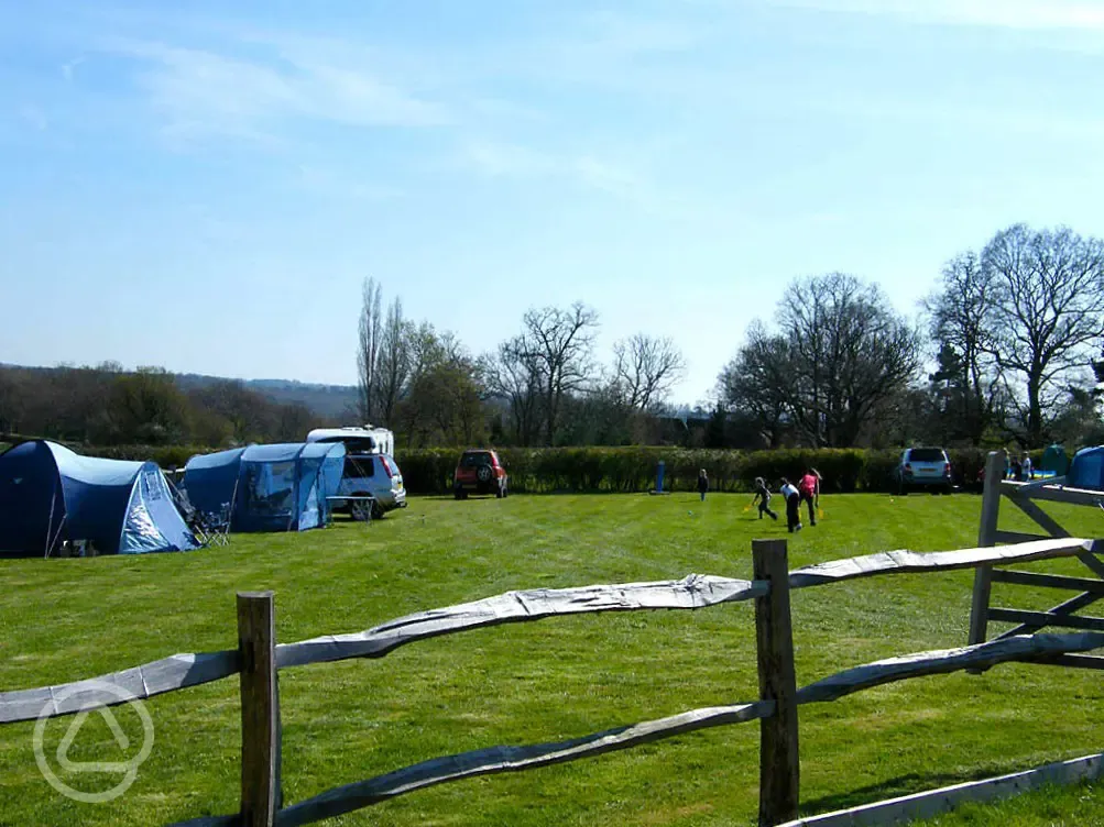 Electric grass pitches