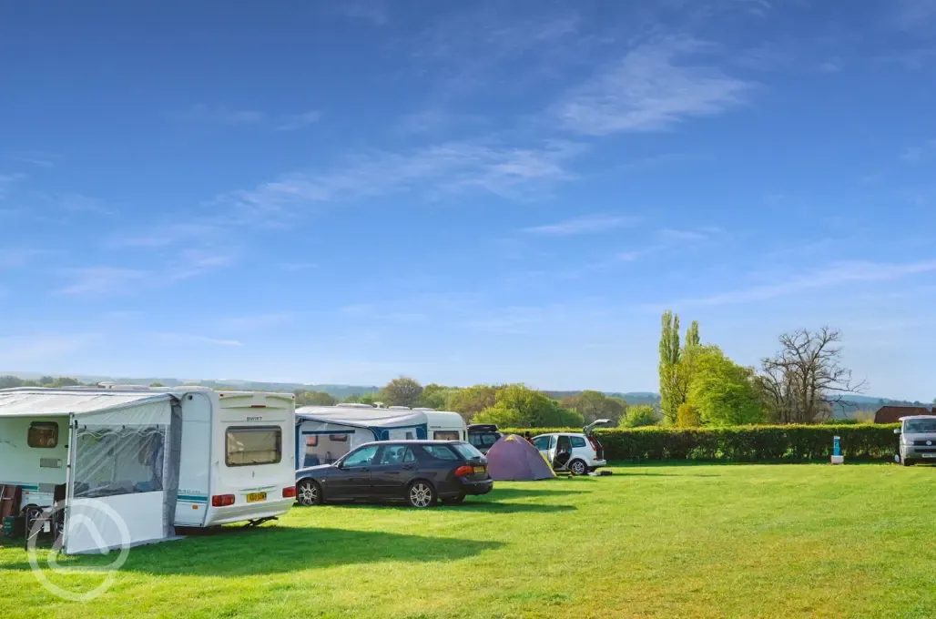 Electric grass pitches