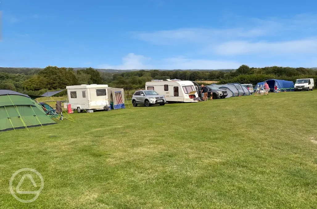 Electric grass pitches