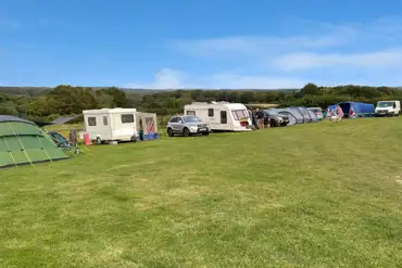 Electric grass pitches