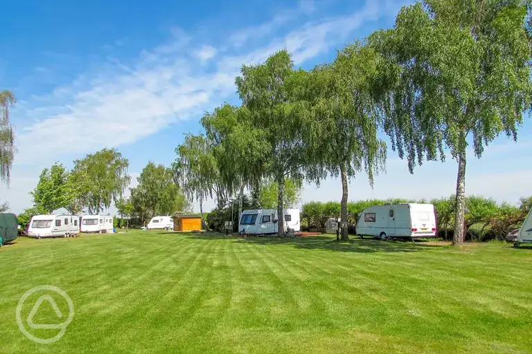 Electric grass pitches