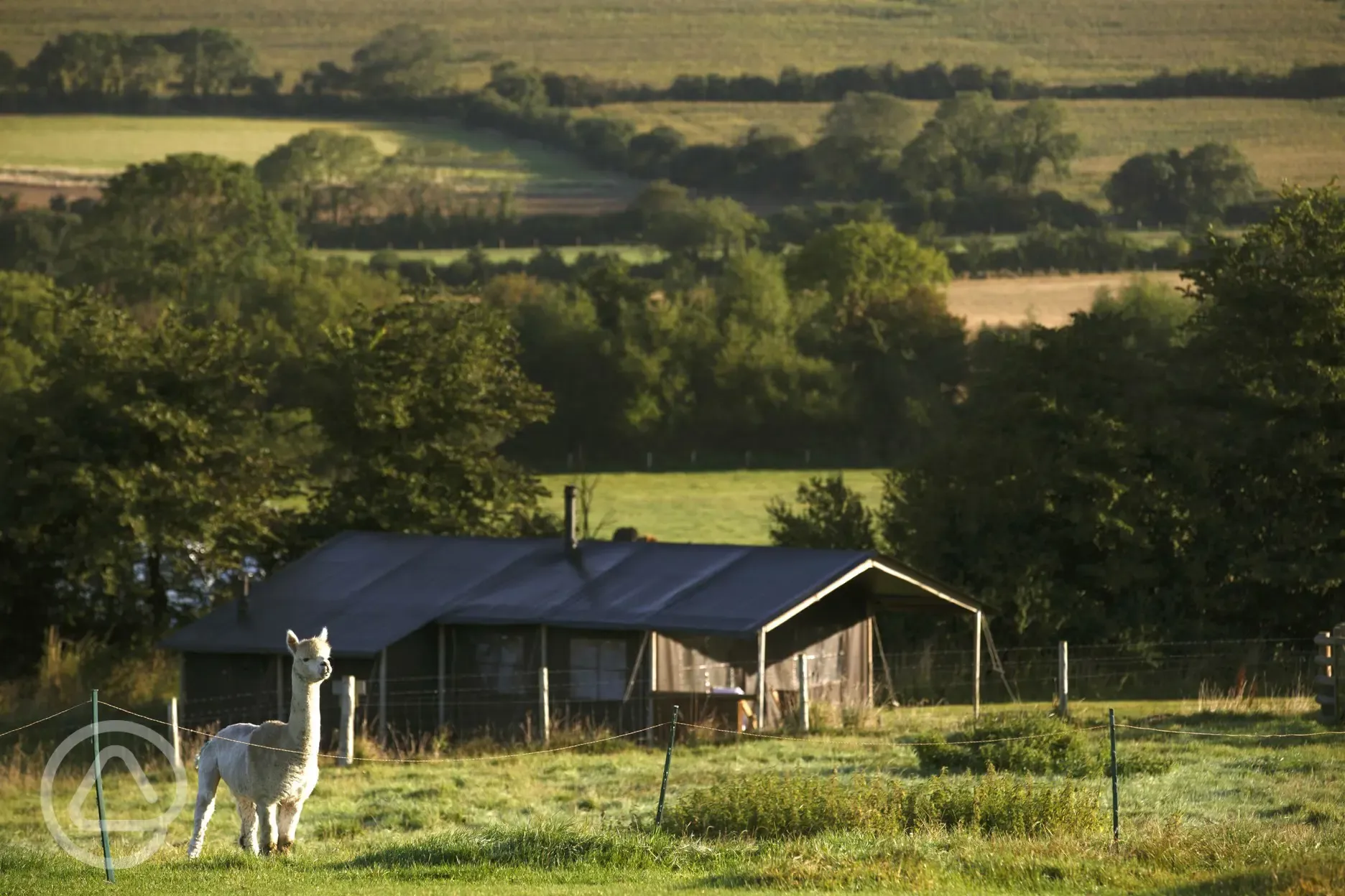 View towards canvas lodges