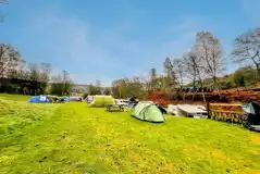 Non electric and electric medium tent pitches