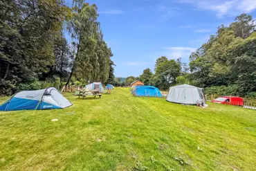 Grass pitches with picnic benches