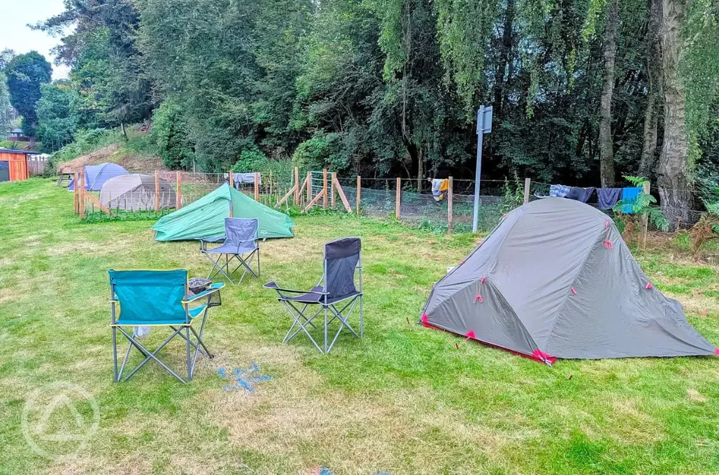 Small grass tent pitches