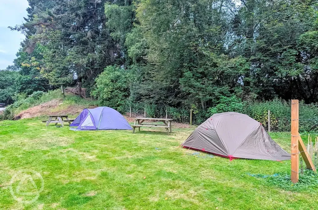 Grass pitches for tents