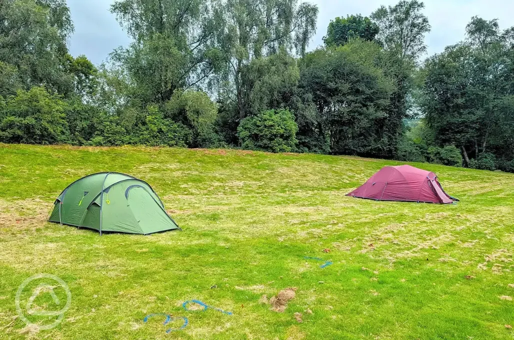 Non electric medium tent pitches