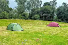 Non electric medium tent pitches
