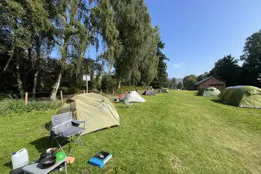 Grass pitches