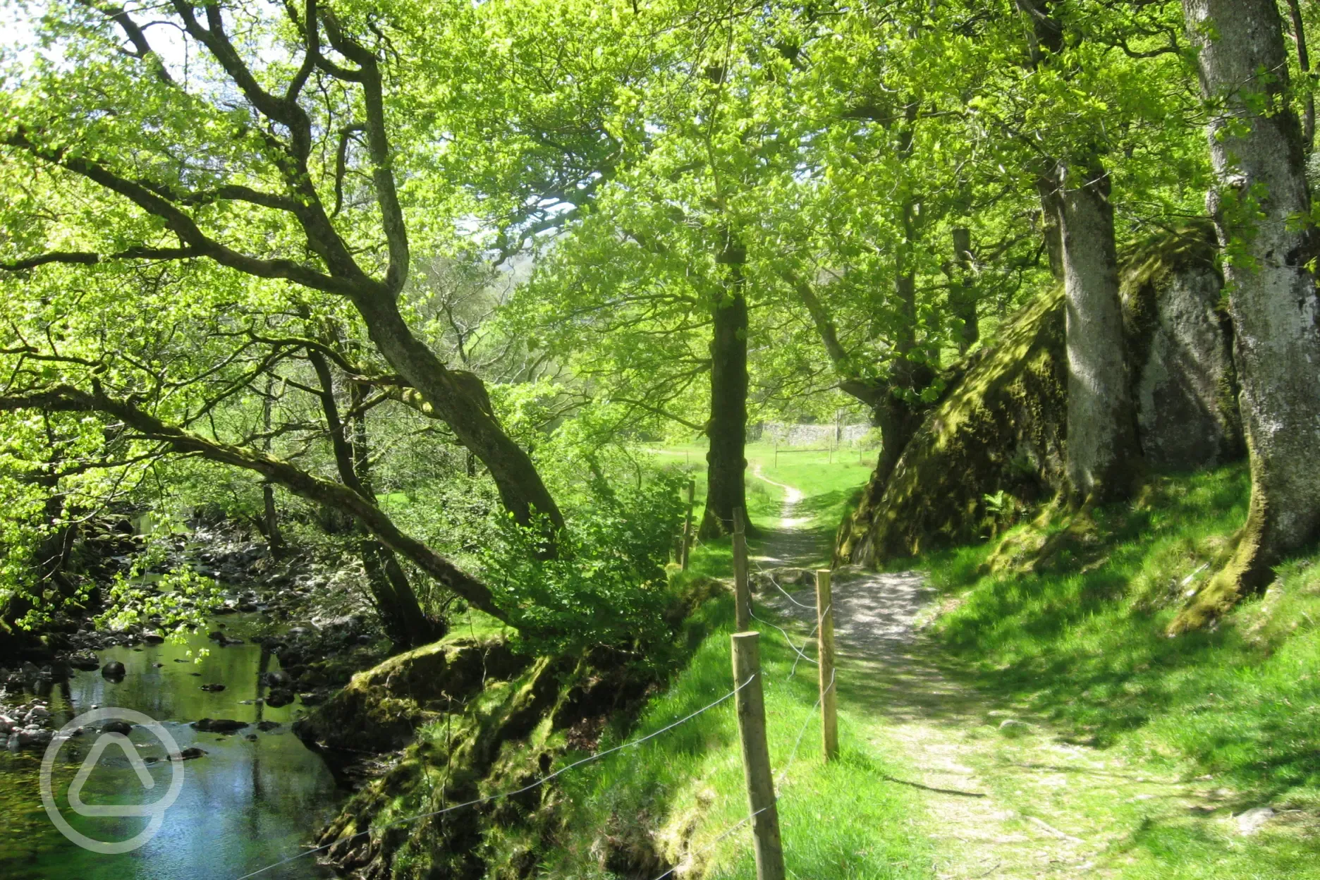 River Derwent through the site