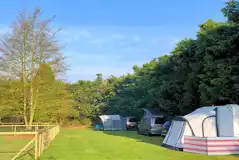 Grass pitches Grass pitches