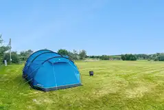 Electric grass pitches with 16 amp hook ups