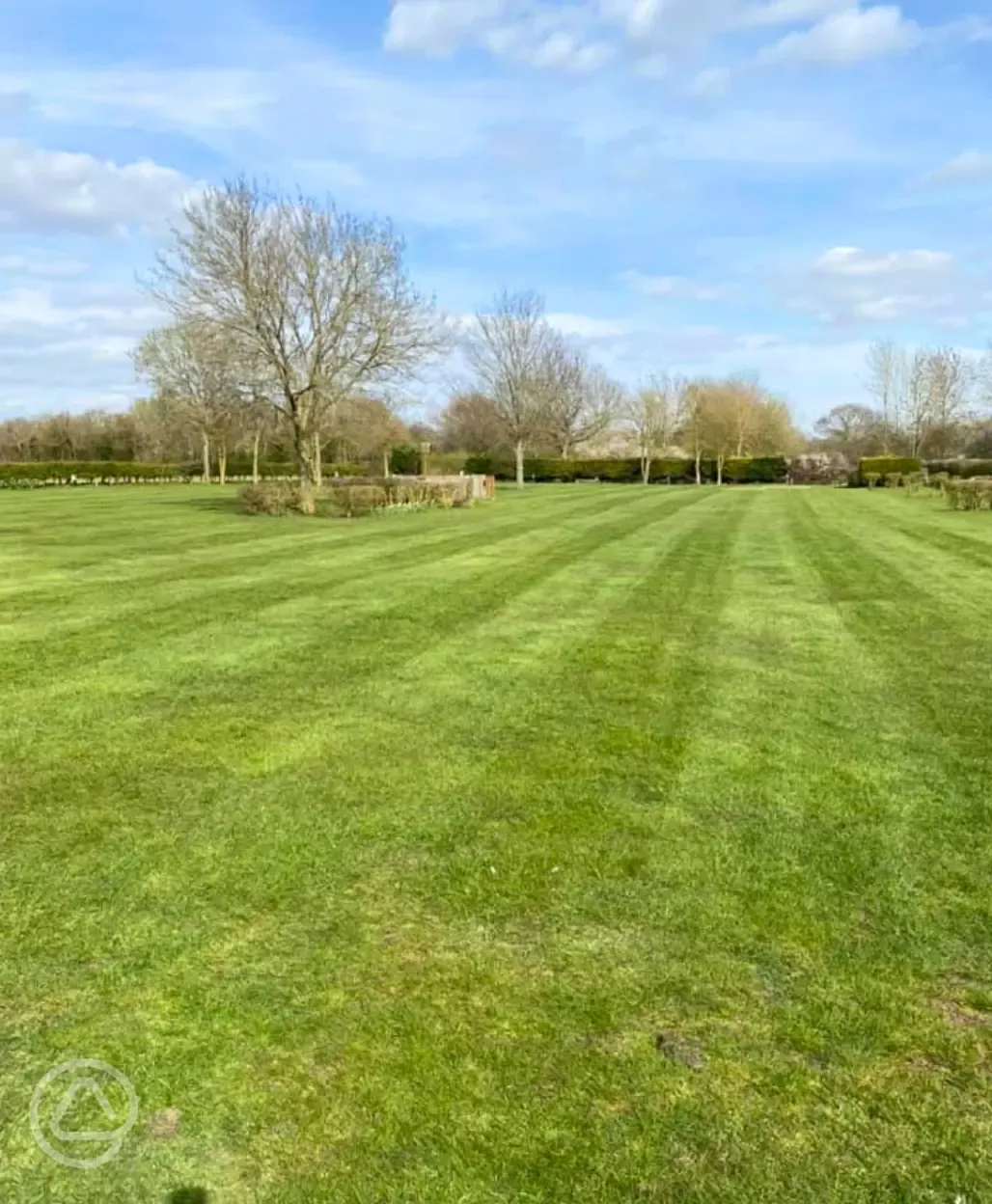 Electric grass tent pitches