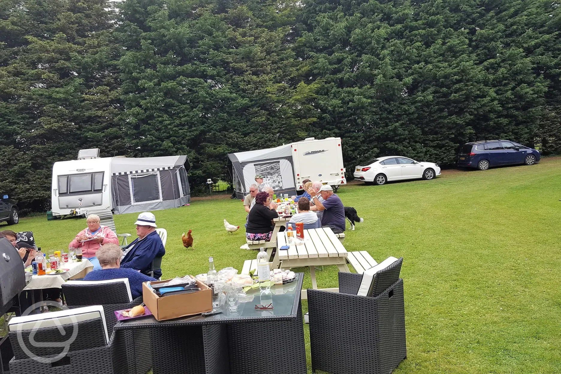 A group BBQ on site