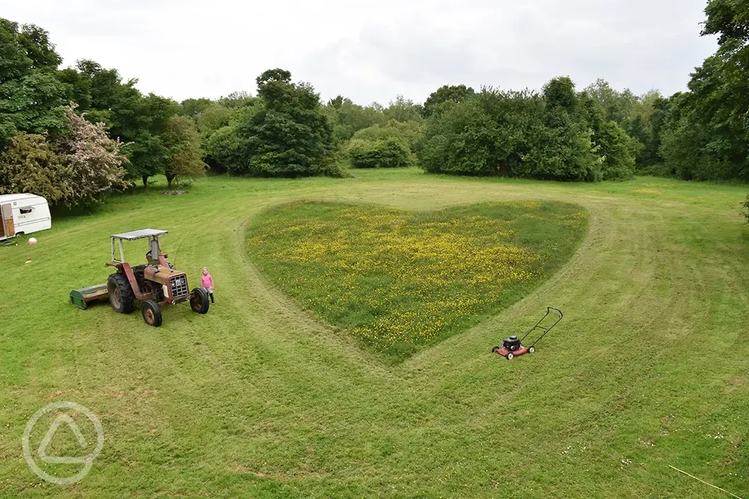 Grass heart