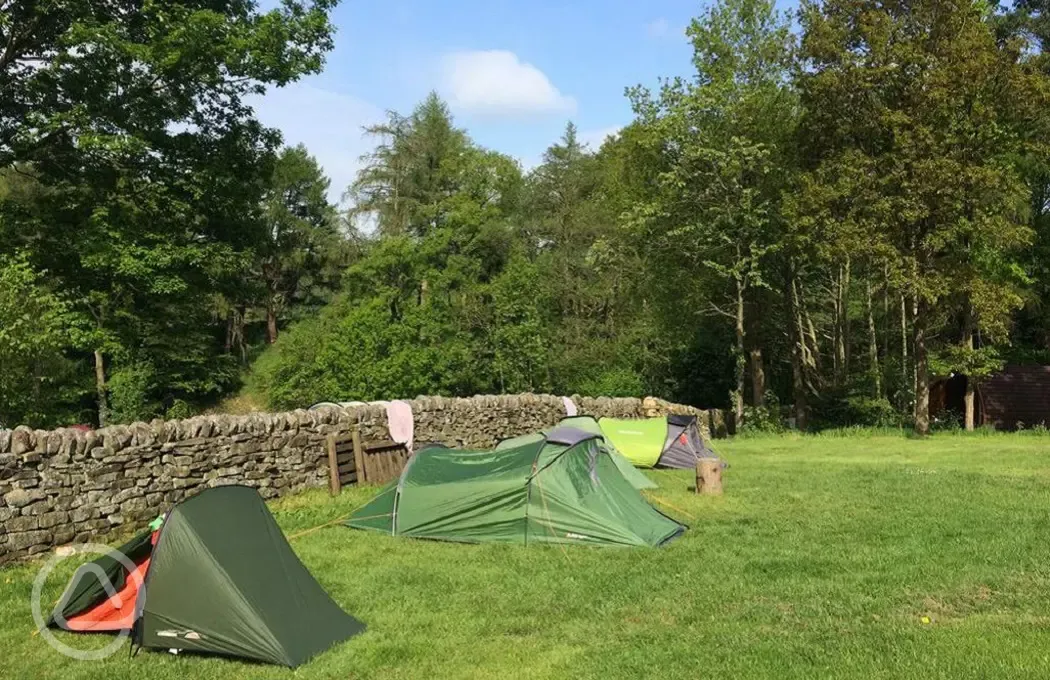 Tent pitches