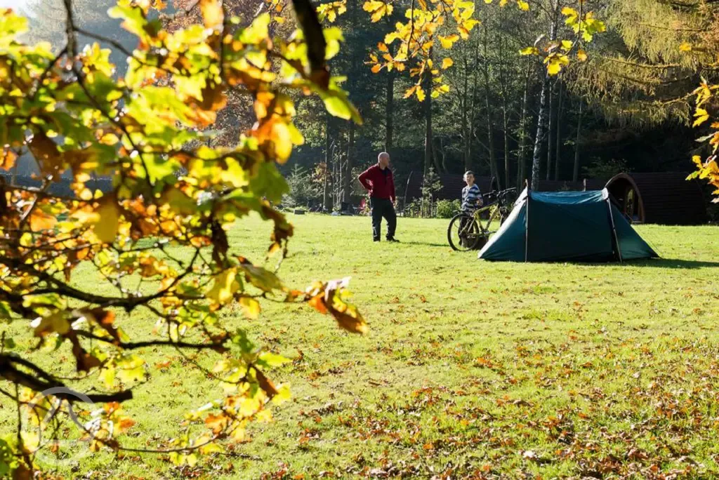 Tent camping