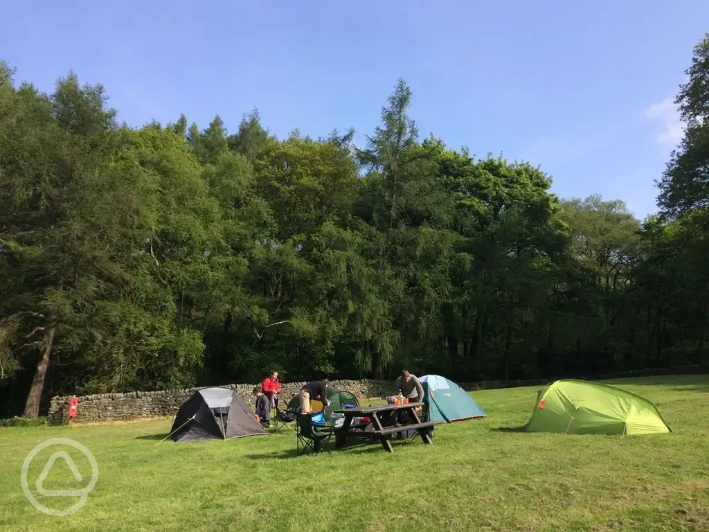Back to basics camping
