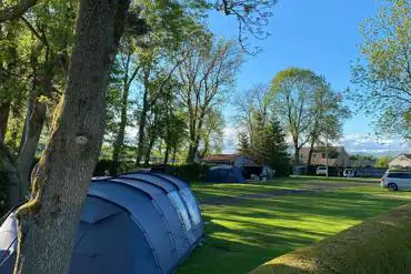 Electric grass tent pitches (8m x 8m)