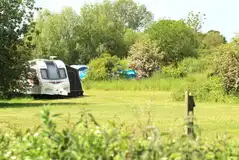 Optional electric grass pitches at Rectory Farm Caravan Camping and Fishing Site