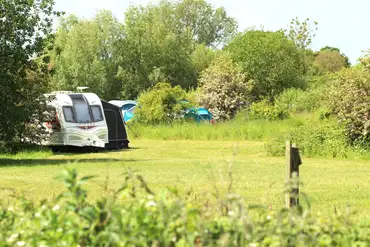 Optional electric grass pitches at Rectory Farm Caravan Camping and Fishing Site