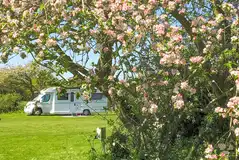 Motorhome on an optional electric grass pitch