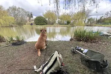Well stocked fishing lakes at Rectory Farm Caravan Camping and Fishing Site