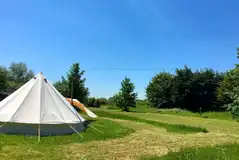 View of Goldfinch bell tent View of Goldfinch bell tent