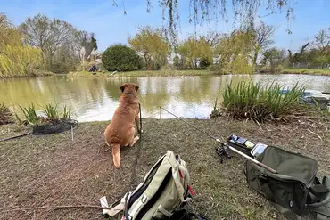 Well stocked fishing lakes at Rectory Farm Caravan Camping and Fishing Site