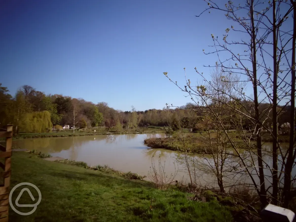 The fishing lake at Springwood Fisheries