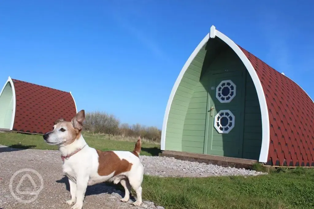 Dog friendly camping pods