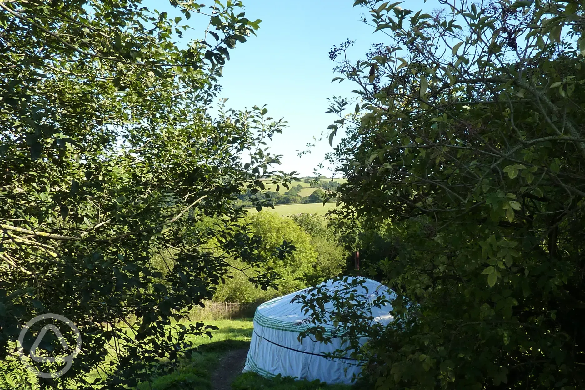 Path to yurt